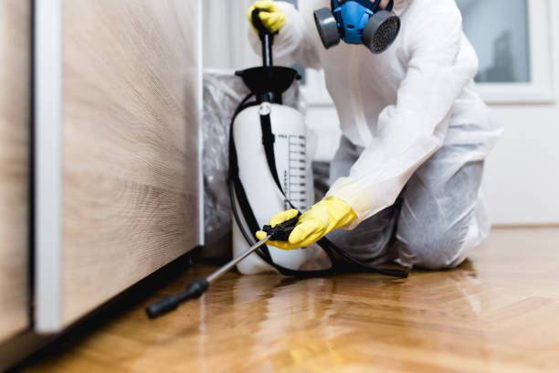 Best Emergency Pest Control  in Huntington, UT