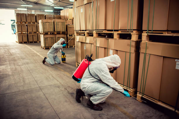 Best Mosquito Control Services  in Huntington, UT