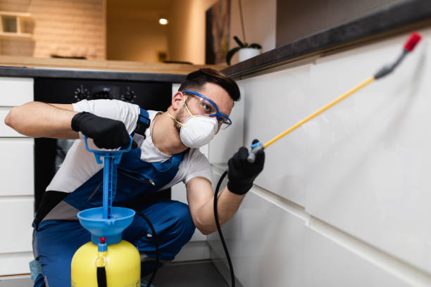 Best Wildlife Control Services  in Huntington, UT