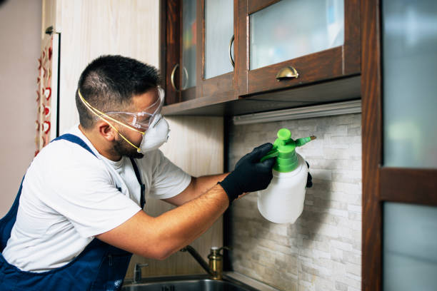 Best Best Pest Control Companies  in Huntington, UT