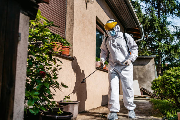 Best Cockroach Control Services  in Huntington, UT