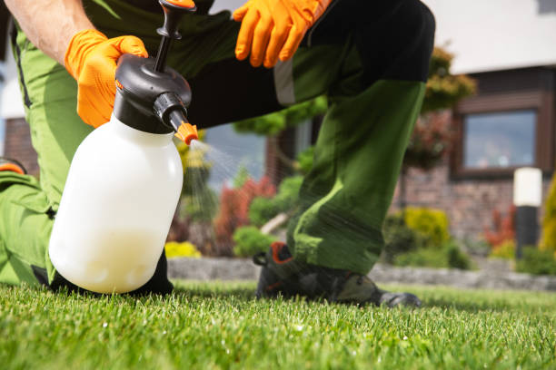 Best Pest Control for Businesses  in Huntington, UT