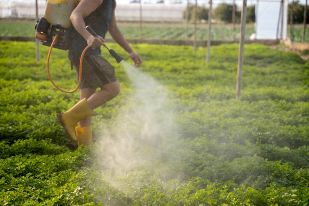 Best Ant Control Services  in Huntington, UT