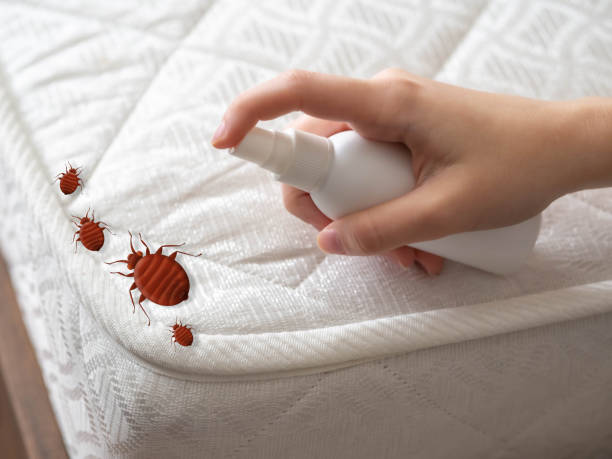 Best Pest Control Near Me  in Huntington, UT
