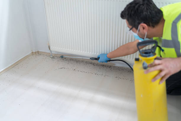 Best Emergency Pest Control  in Huntington, UT